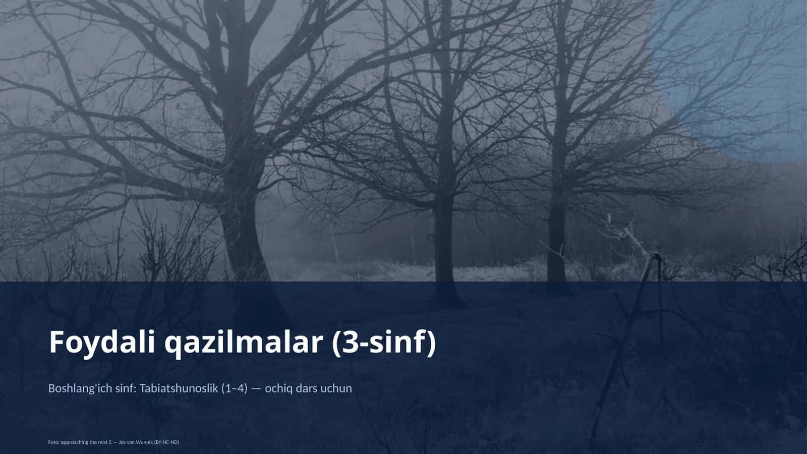 Foydali qazilmalar (3-sinf)