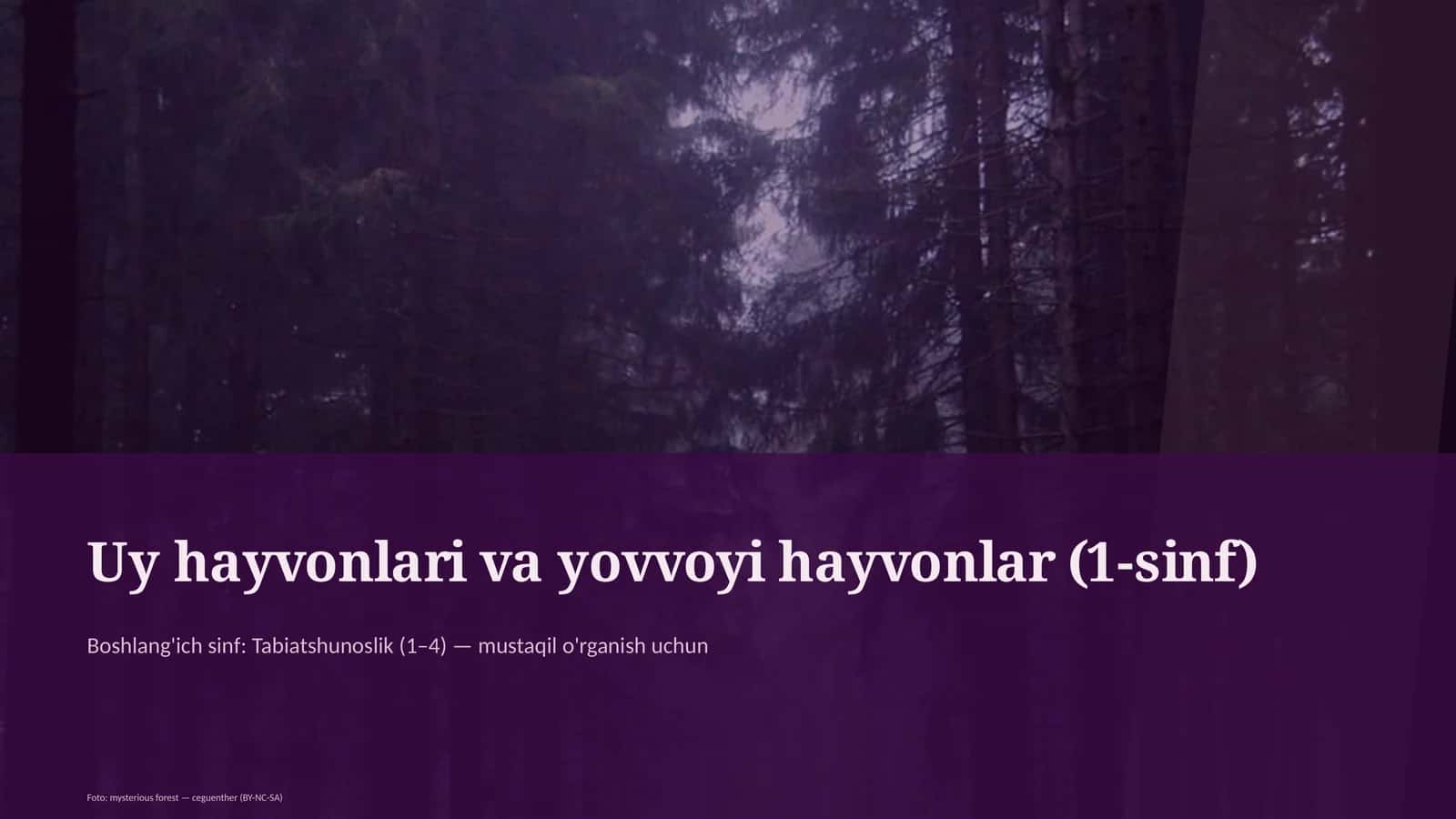 Uy hayvonlari va yovvoyi hayvonlar (1-sinf)