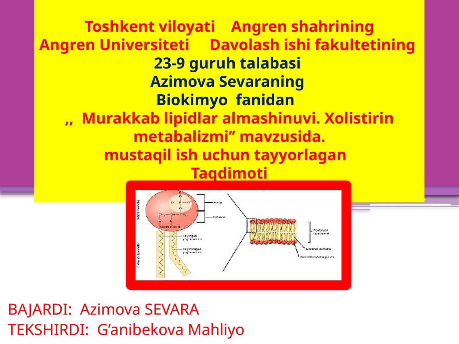Murakkab lipidlar alamshinuvi. Xolistirin metabolizmi