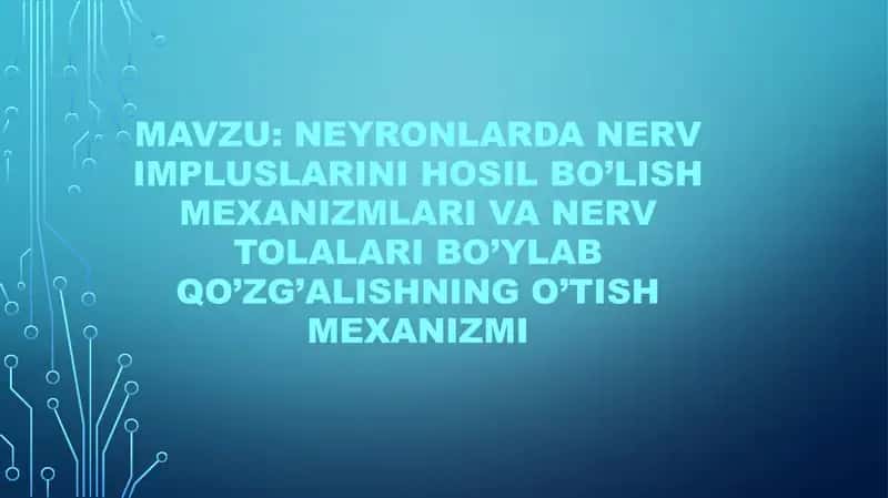 Neyronlarda nerv impluslarini hosil bo’lish mexanizmlari va nerv tolalari bo’ylab qo’zg’alishning o’tish mexanizmi