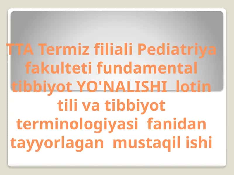 Professional tillar va ularning milliy tilda asosiy xususiyatlari. Ibn Sino Yevropa olimlari talqinida.