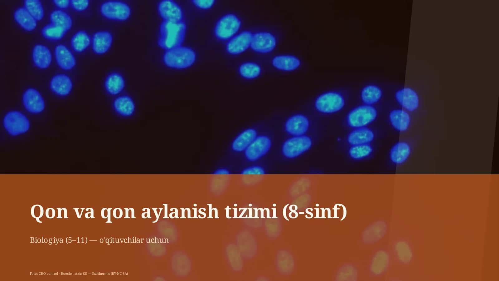 Qon va qon aylanish tizimi (8-sinf)