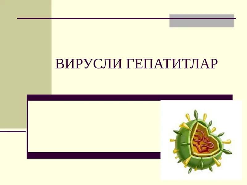 Вирусли гепатитлар