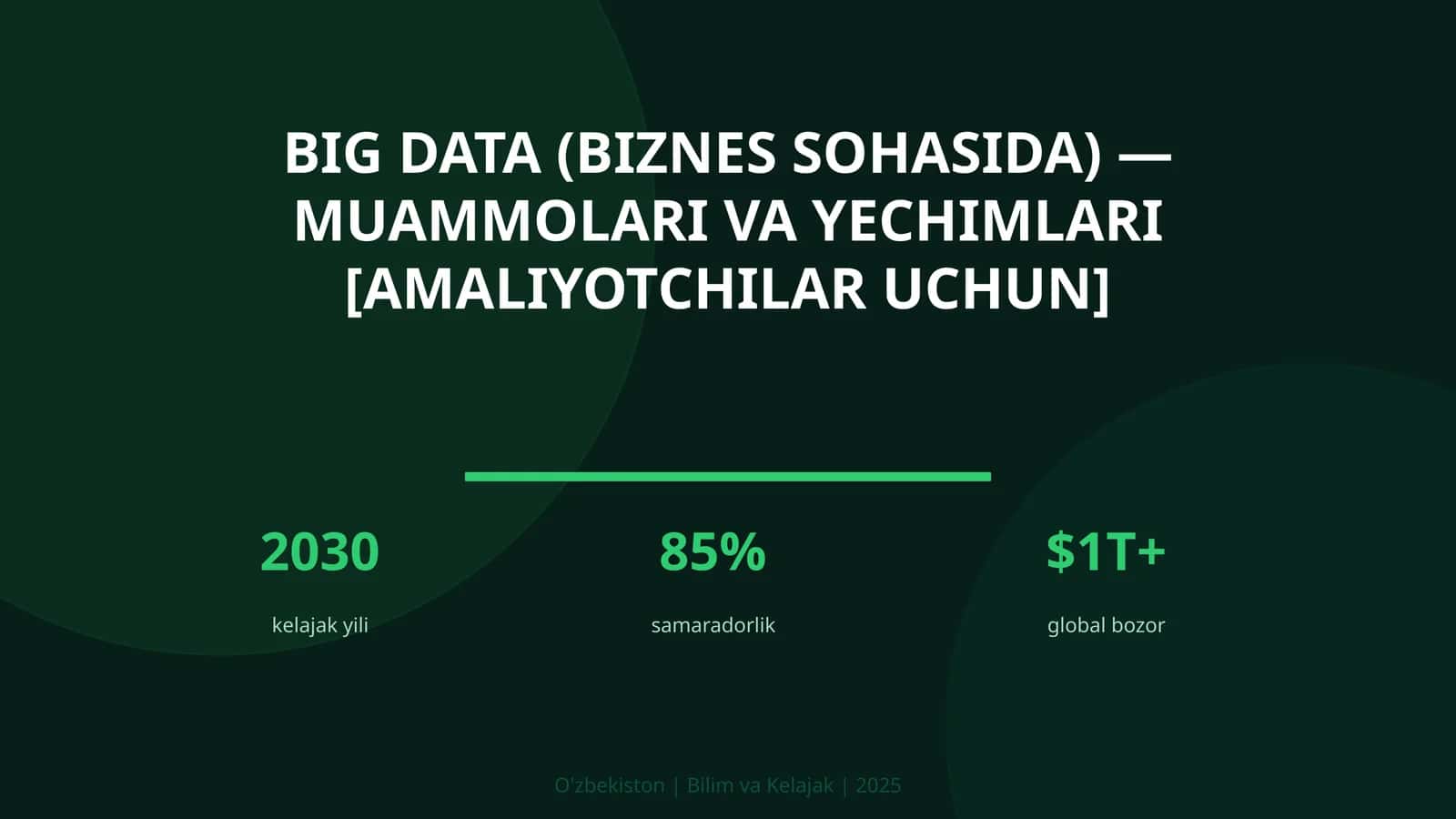 Big Data (Biznes sohasida) - Muammolari va yechimlari [amaliyotchilar uchun]