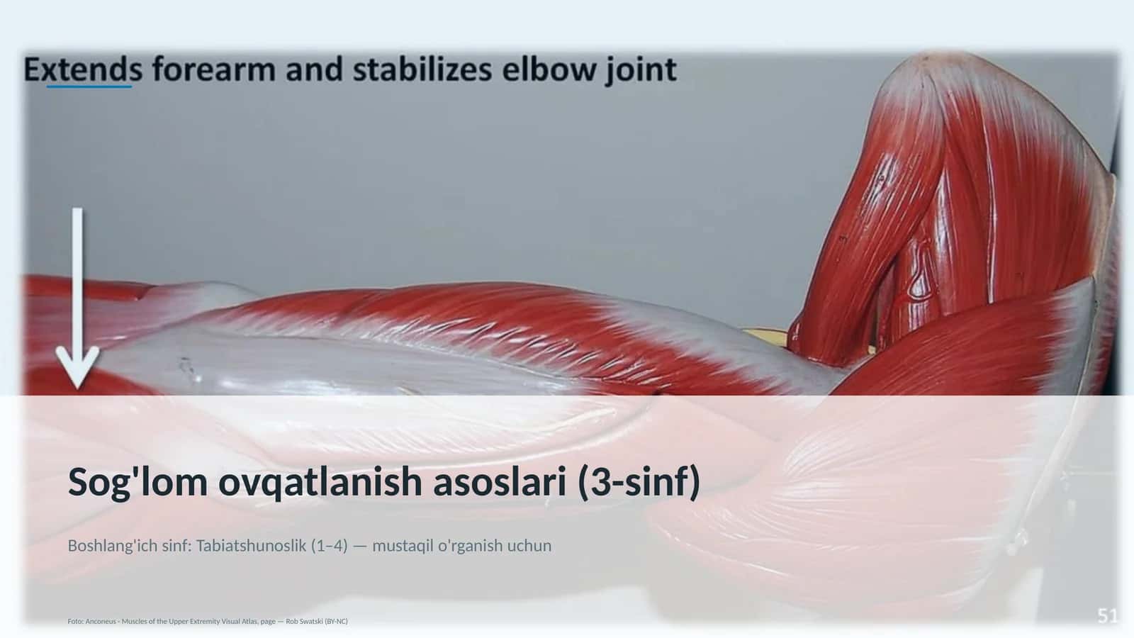 Sog'lom ovqatlanish asoslari (3-sinf)