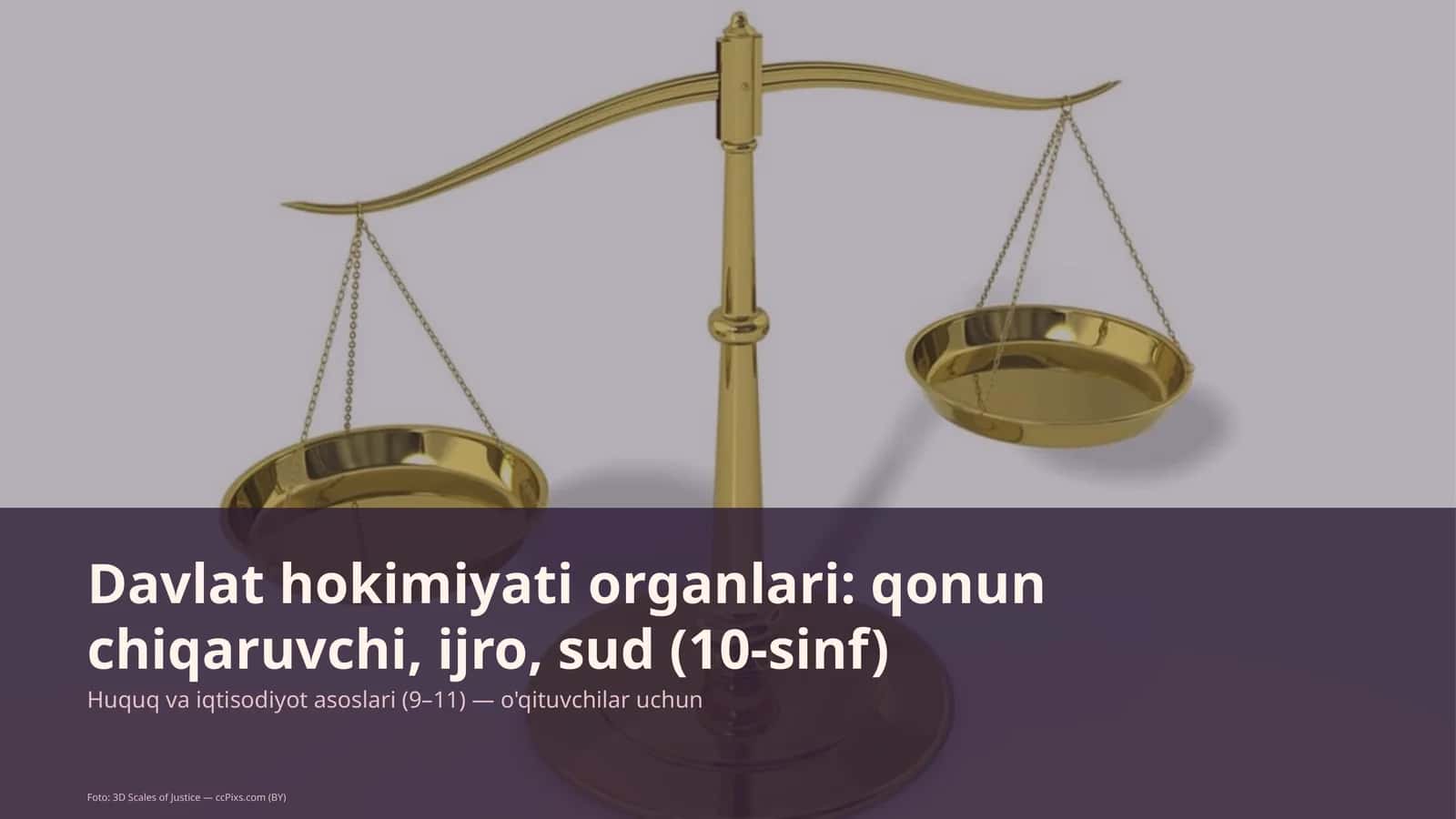Davlat hokimiyati organlari: qonun chiqaruvchi, ijro, sud (10-sinf)