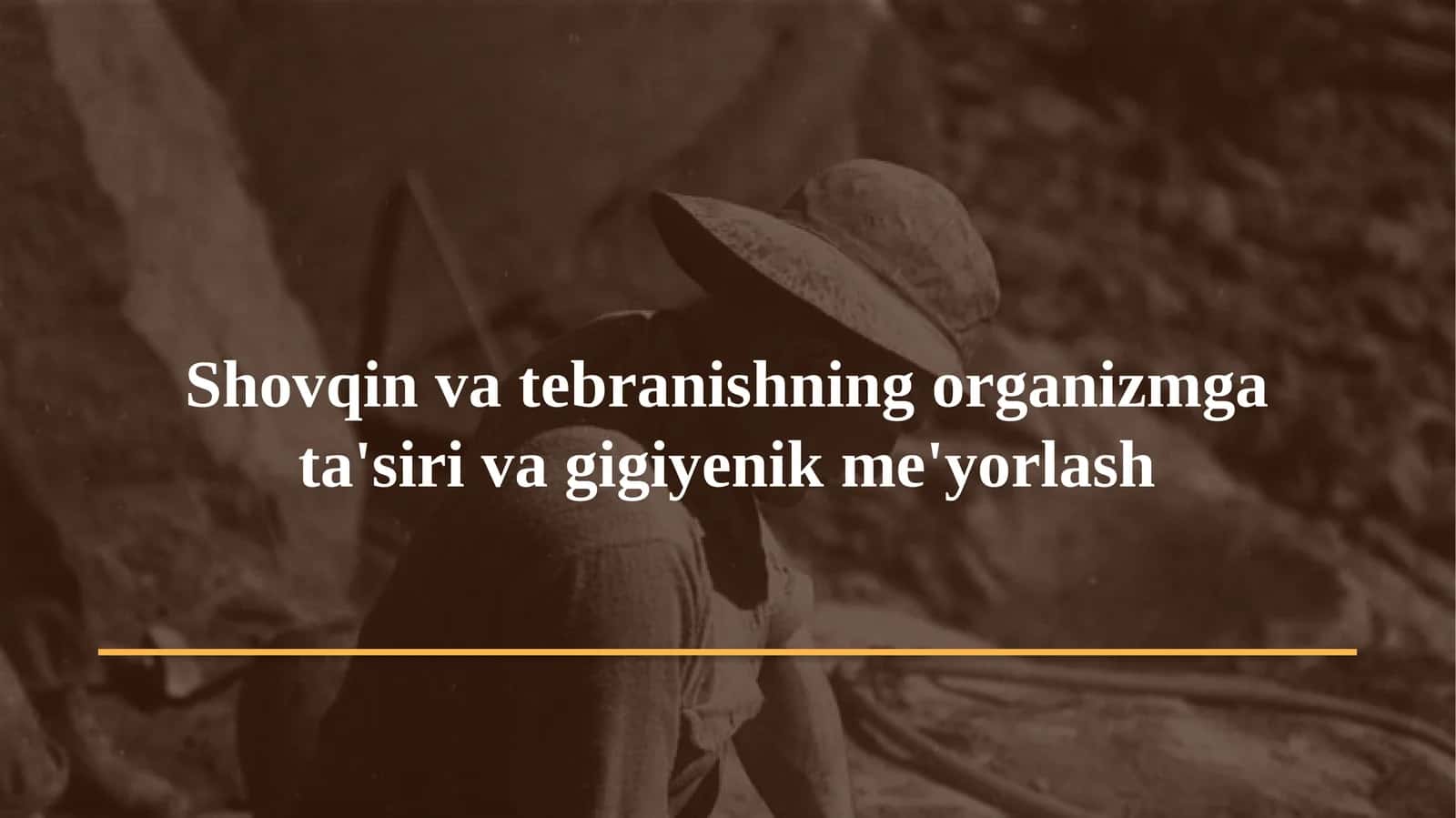 Shovqin va tebranishning organizmga ta'siri va gigiyenik me'yorlash