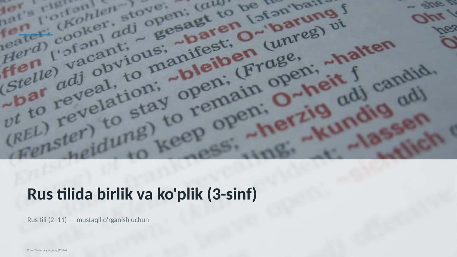 Rus tilida birlik va ko'plik (3-sinf)
