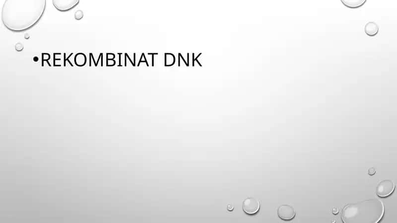 Rekombinant DNK