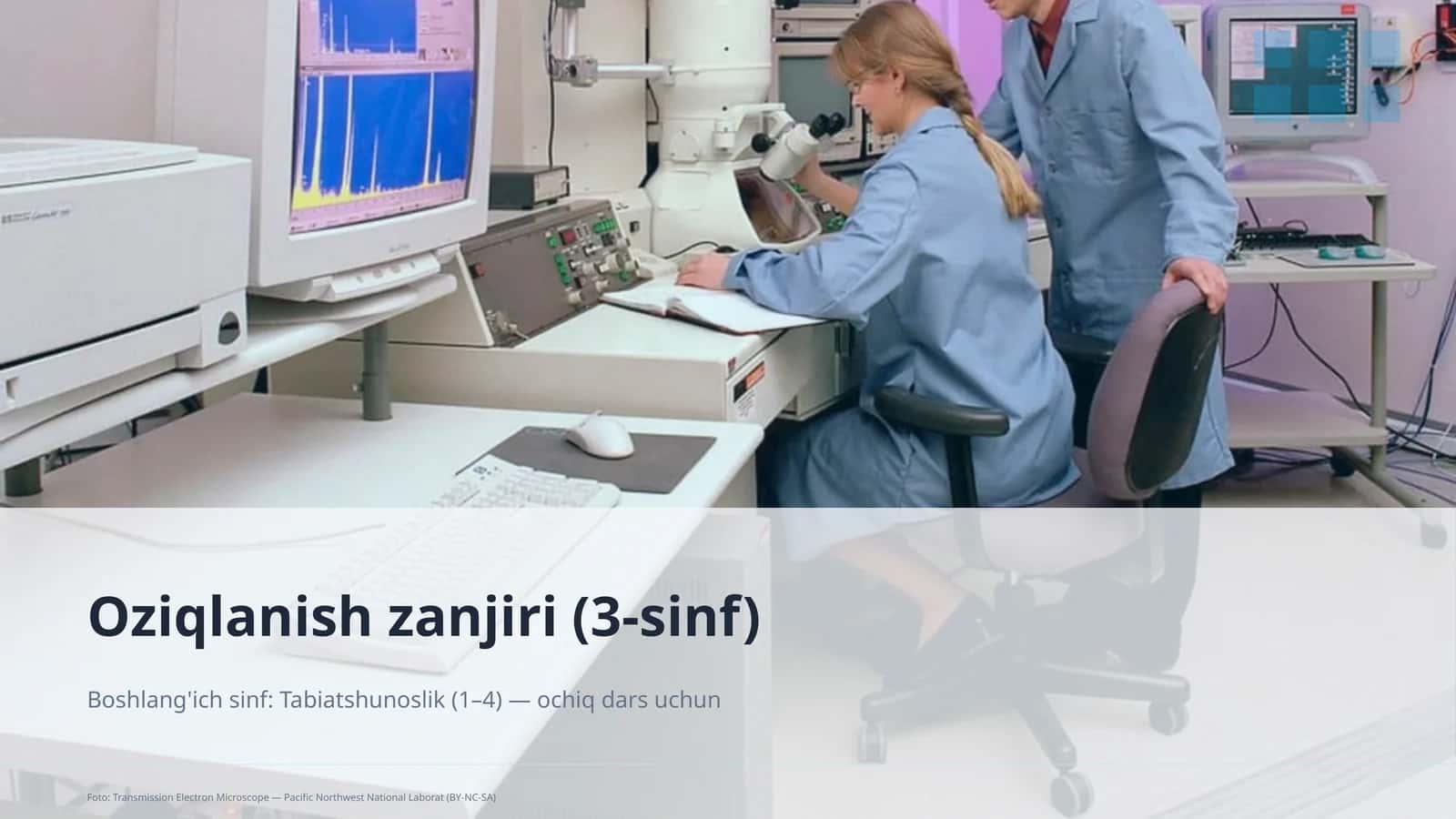 Oziqlanish zanjiri (3-sinf)