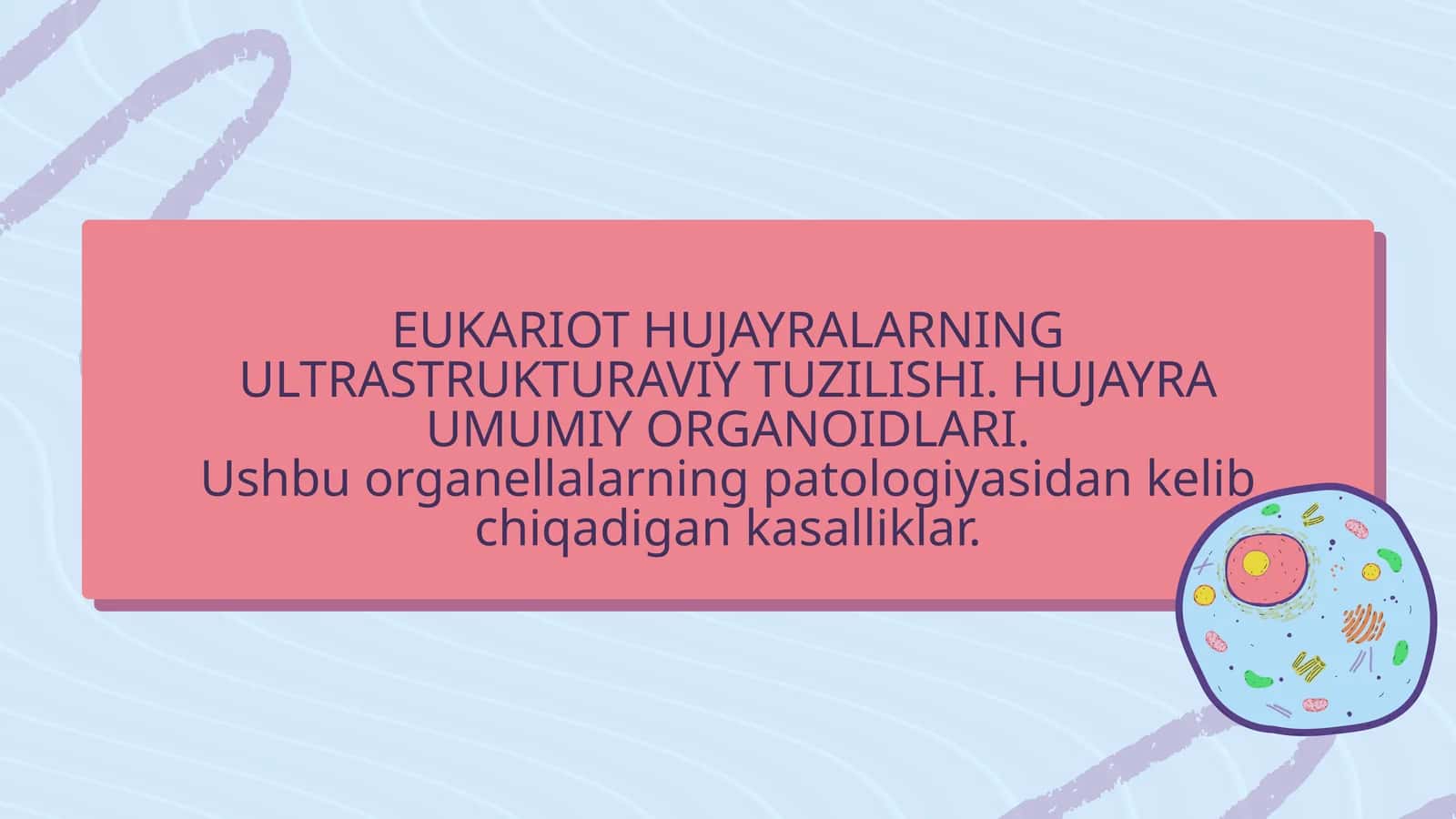 Eukariot hujayralarning ultrastrukturaviy tuzilishi. Hujayra umumiy organoidlari