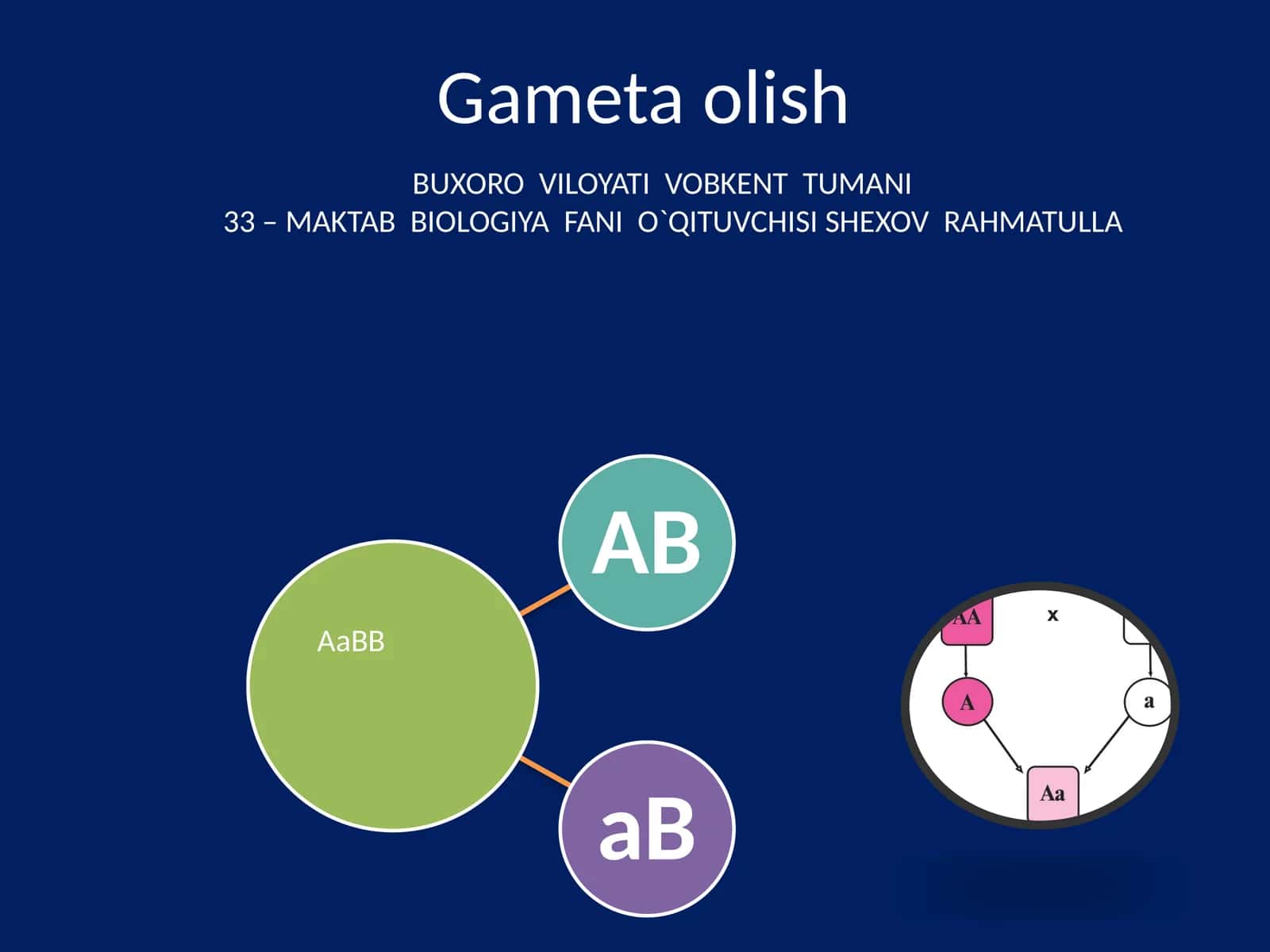 Gameta olish