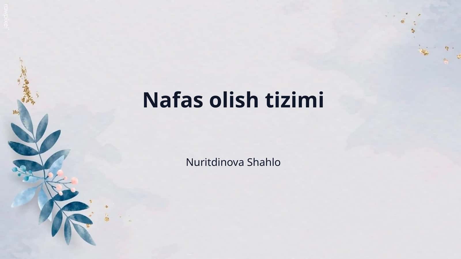 Nafas olish tizimi