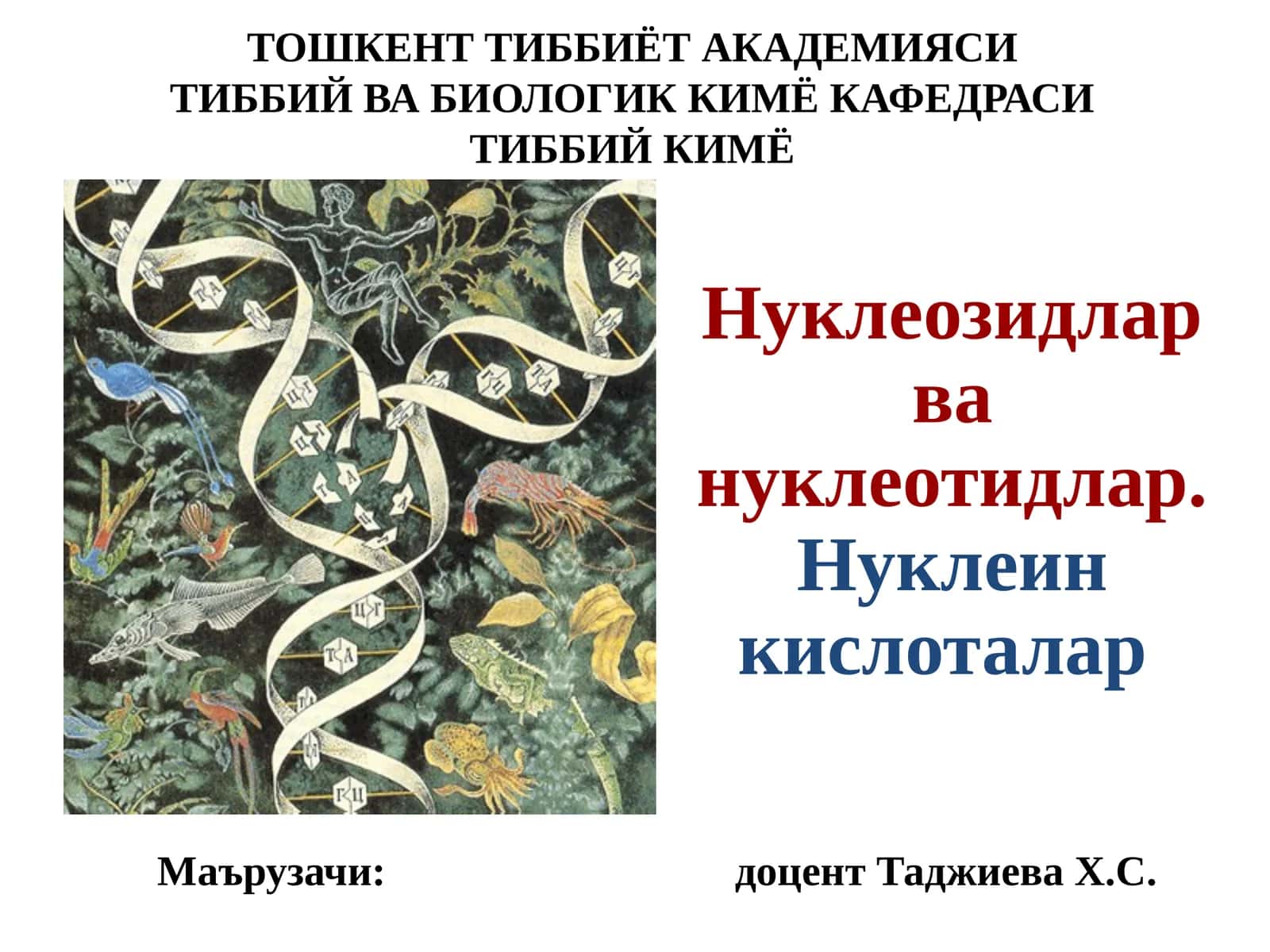 Нуклеозидлар ва нуклеотидлар. Нуклеин кислоталар