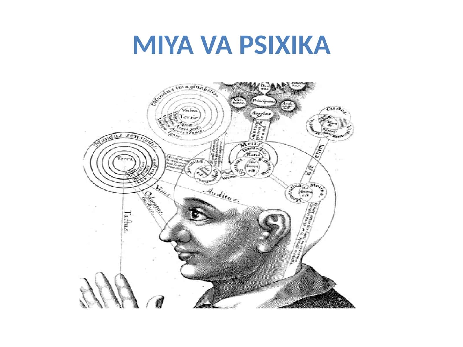 MIYA VA PSIXIKA
