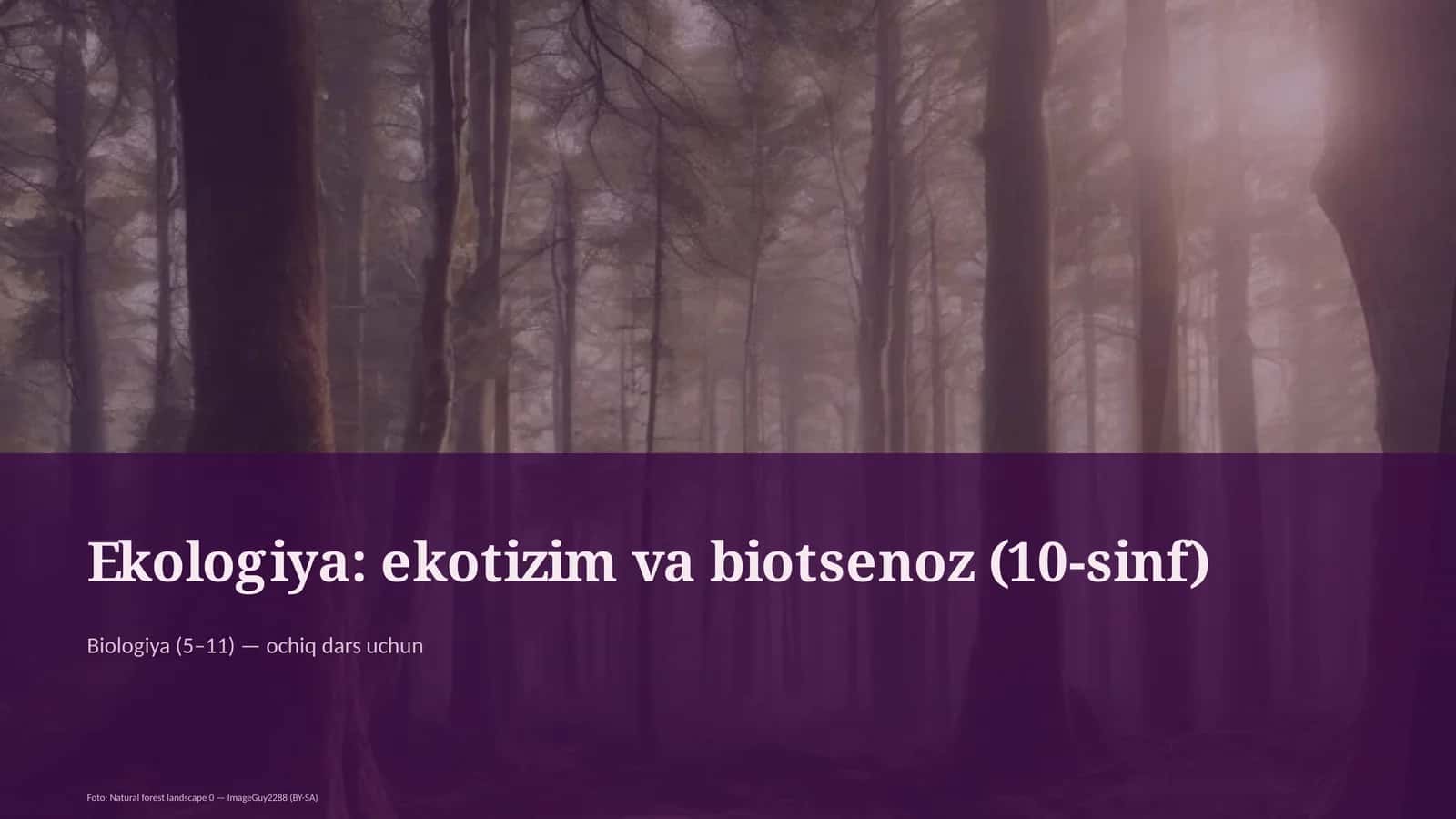 Ekologiya: ekotizim va biotsenoz (10-sinf)