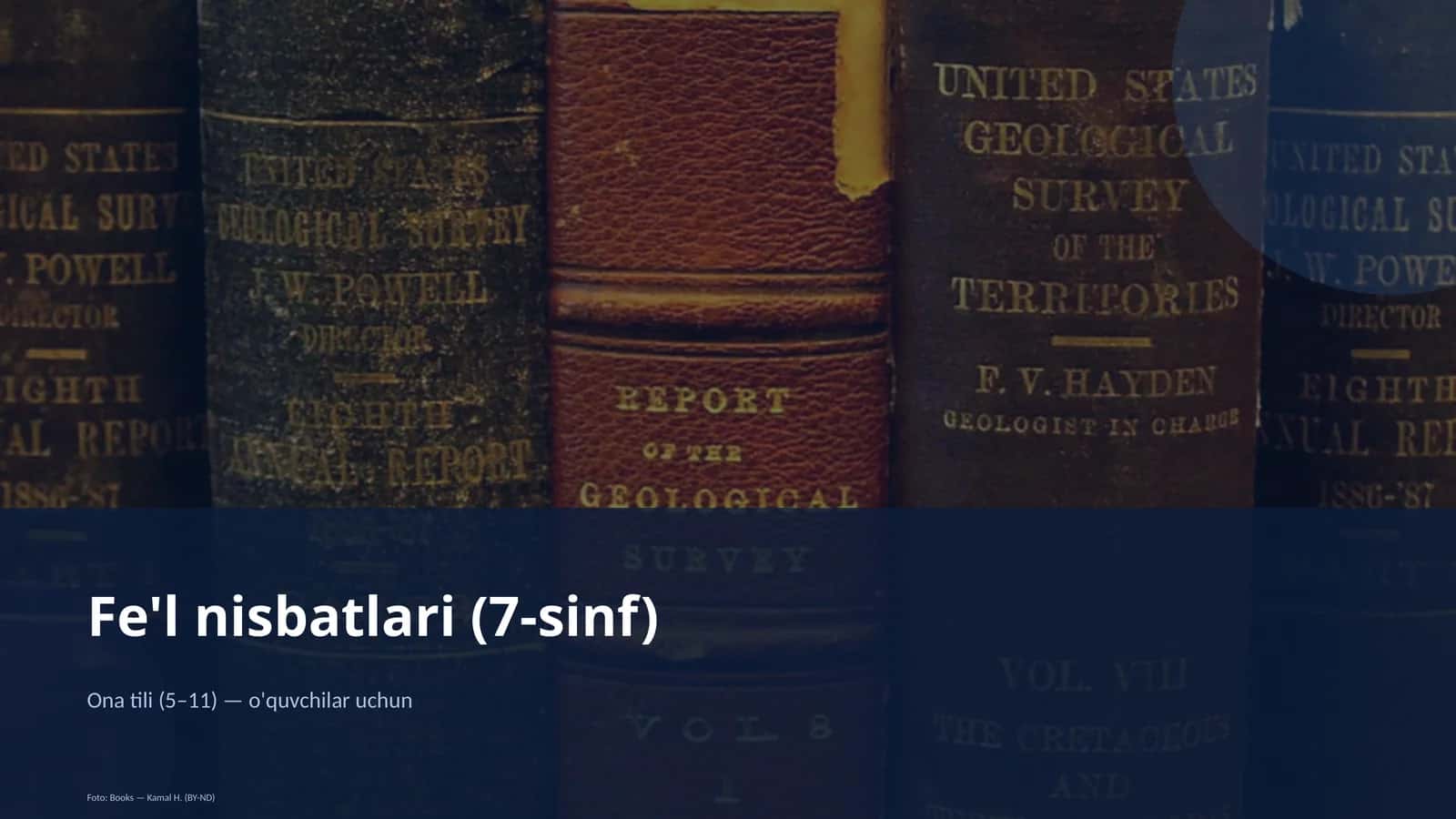 Fe'l nisbatlari (7-sinf)