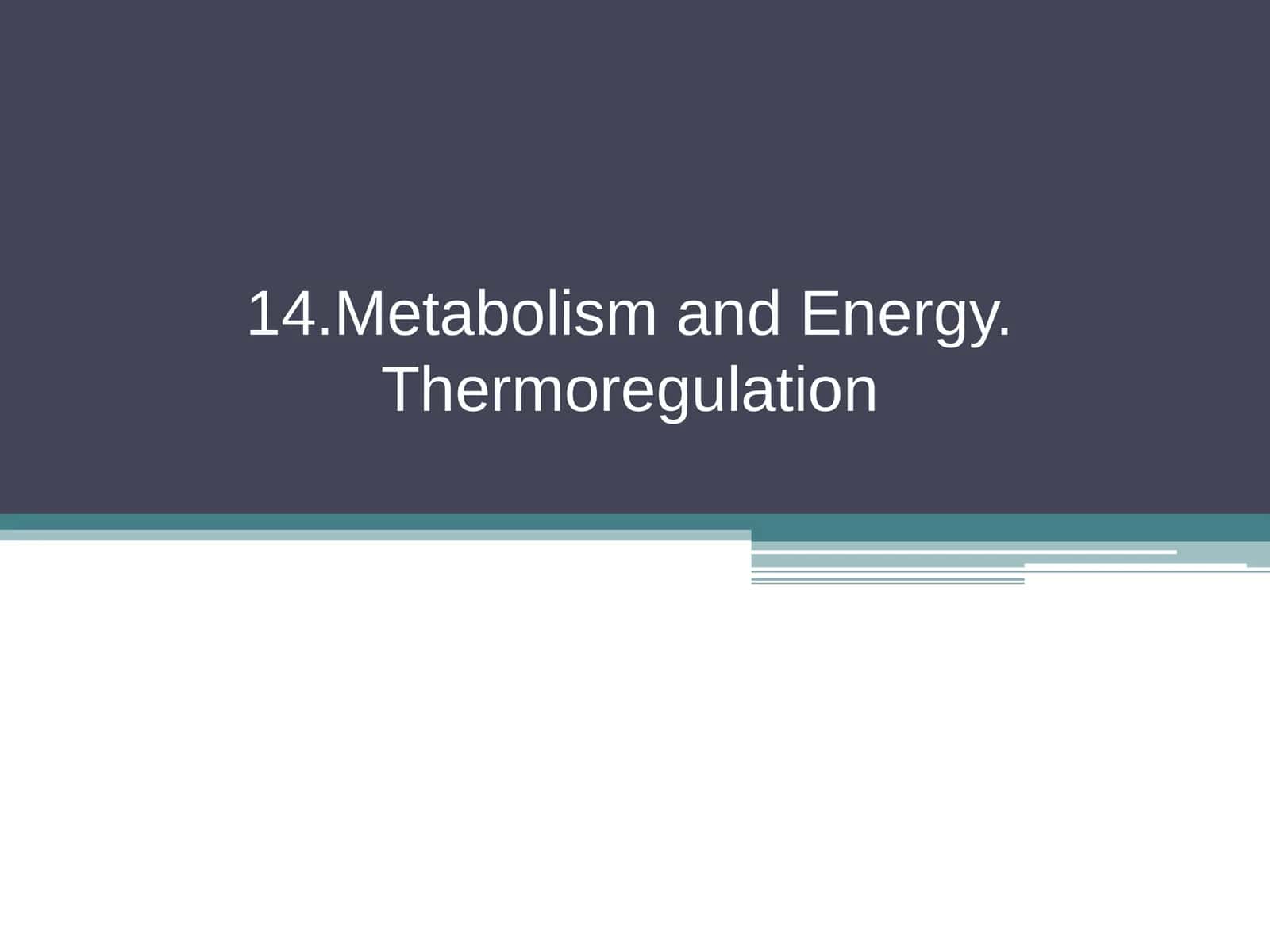 14.Metabolism and Energy. Thermoregulation