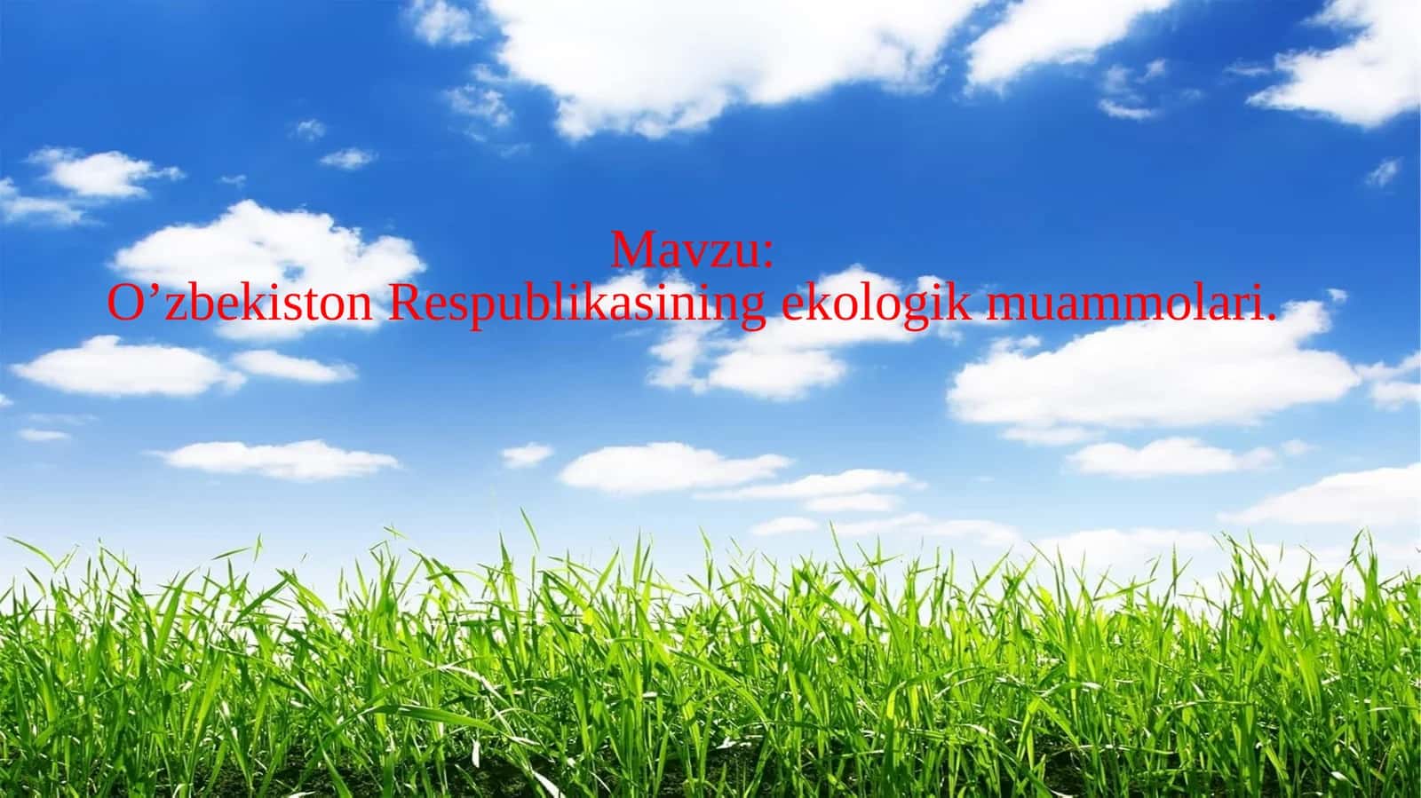 O‘zbekiston Respublikasining ekologik muammolari