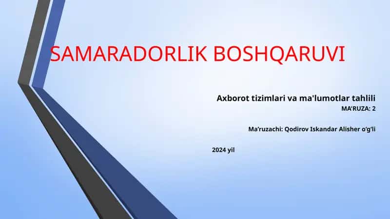 Axborot tizimlari va ma'lumotlar tahlili.