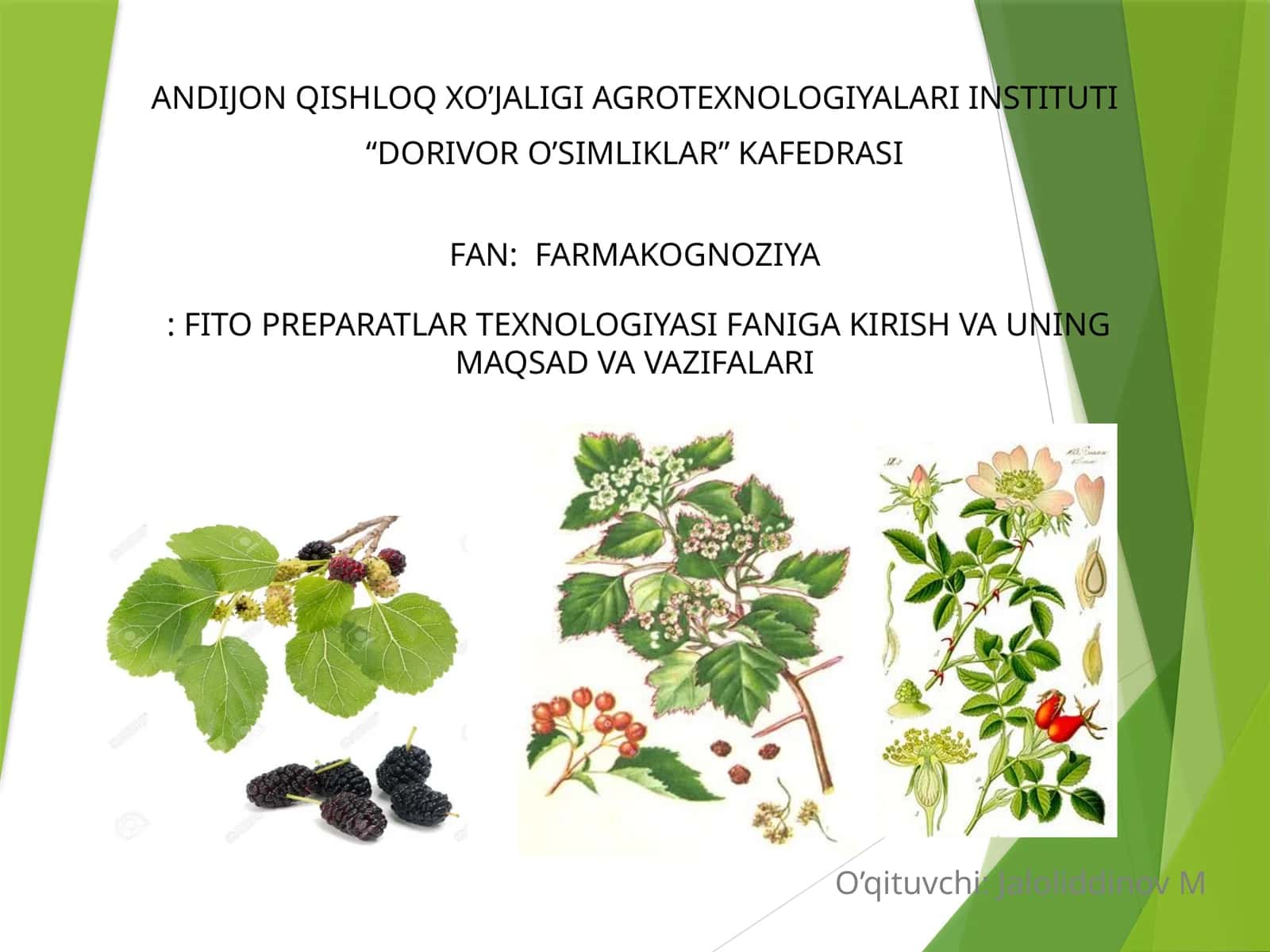 FARMAKOGNOZIYA: FITO PREPARATLAR TEXNOLOGIYASI