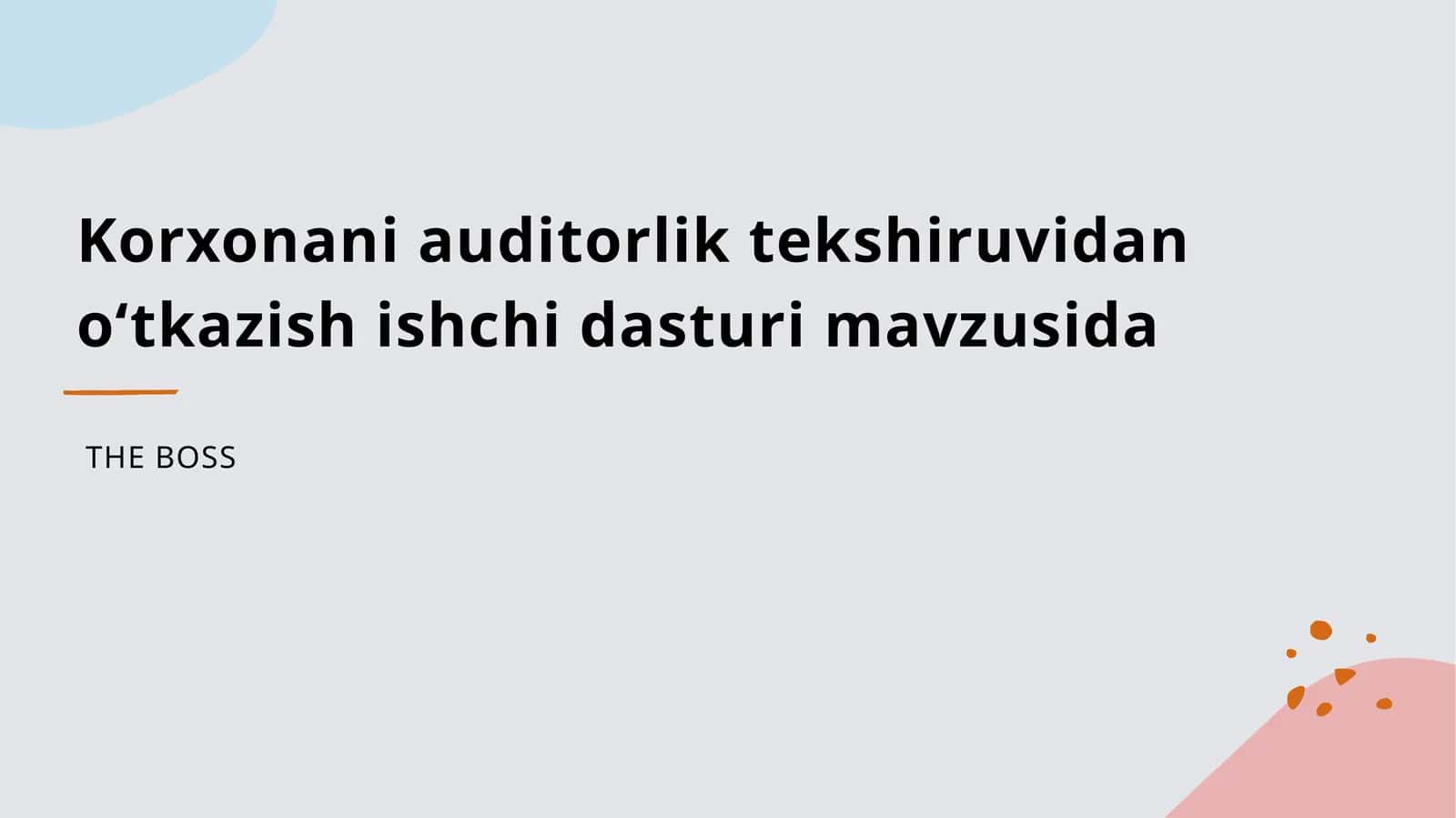 Korxonani auditorlik tekshiruvidan oʻtkazish ishchi dasturi