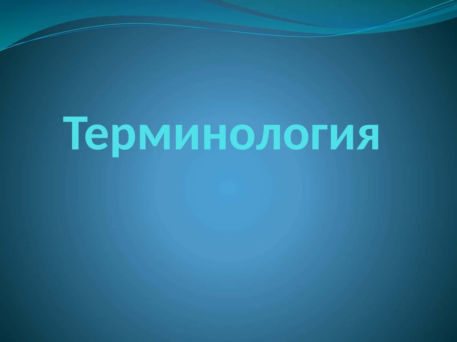 Терминология