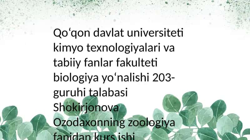Ikki qanotlilar turkumi: tuzilishi, turtarkibi, tarqalishi, biologik xususiyatlar va ahamiyati