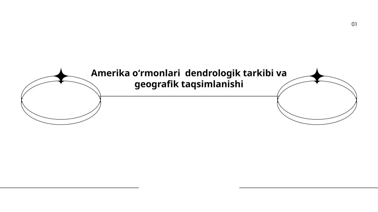 Amerika oʻrmonlari dendrologik tarkibi va geografik taqsimlanishi