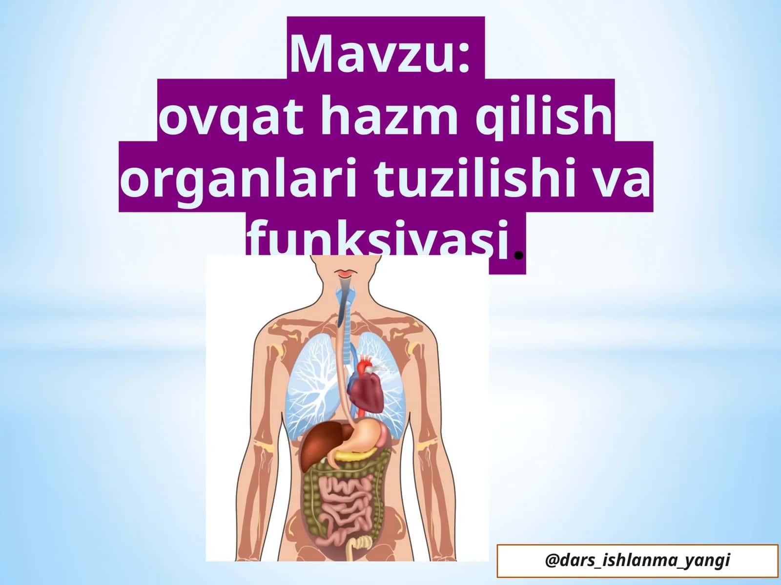 ovqat  hazm  qilish  organlari  tuzilishi  va  funksiyasi