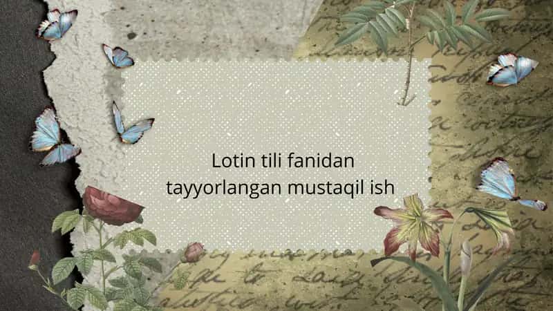 Lotin tili fanidan tayyorlangan mustaqil ish
