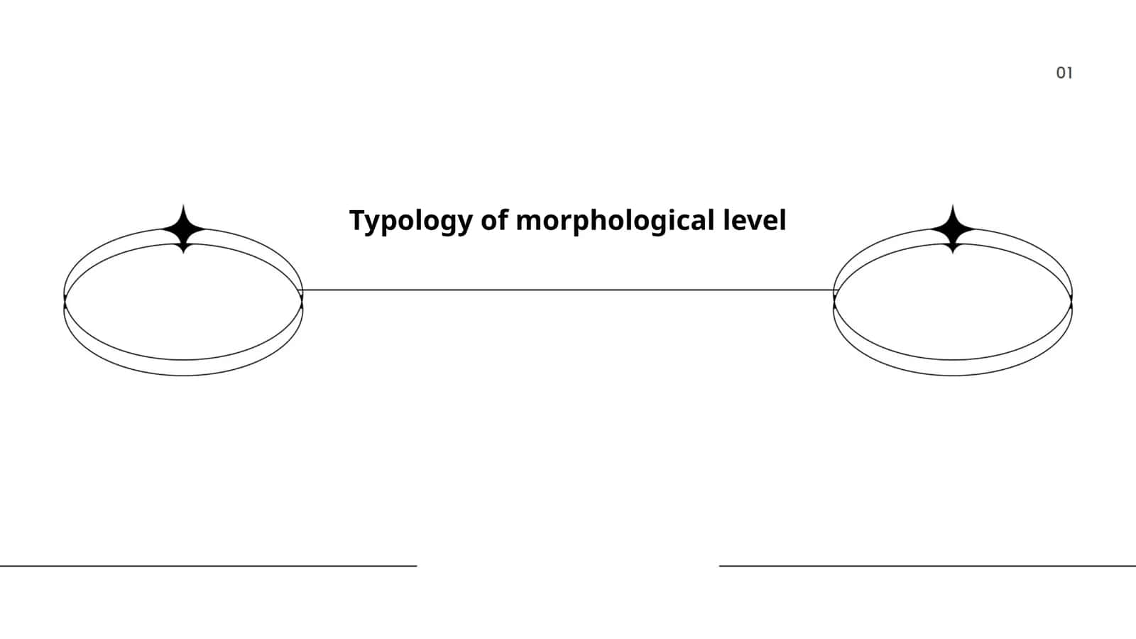 Typology of Morphological Level