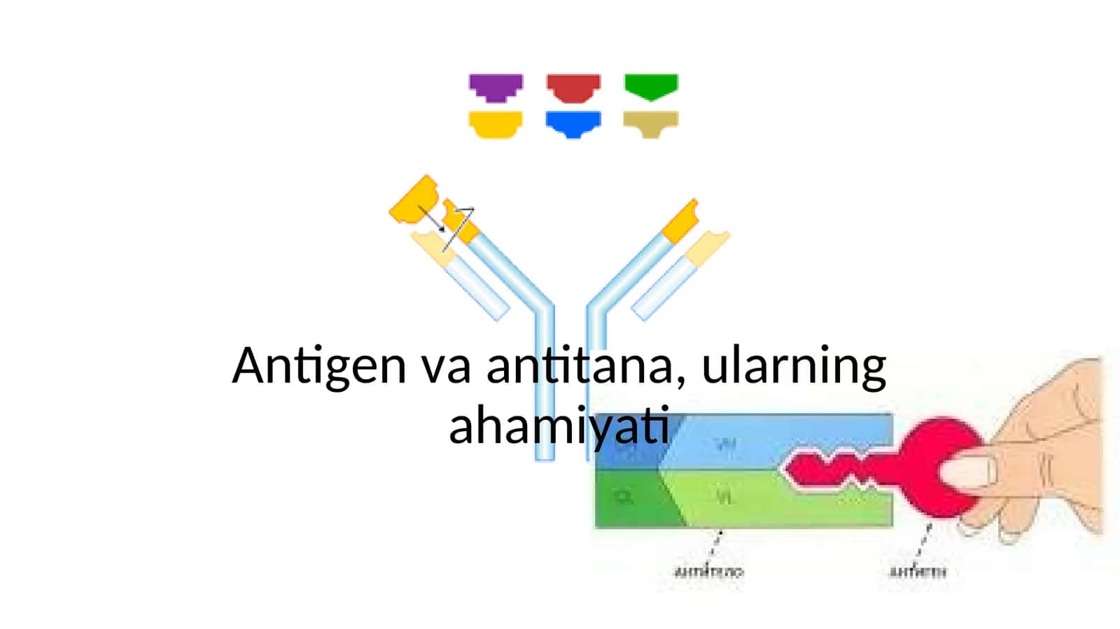 Antigen va antitana, ularning ahamiyati