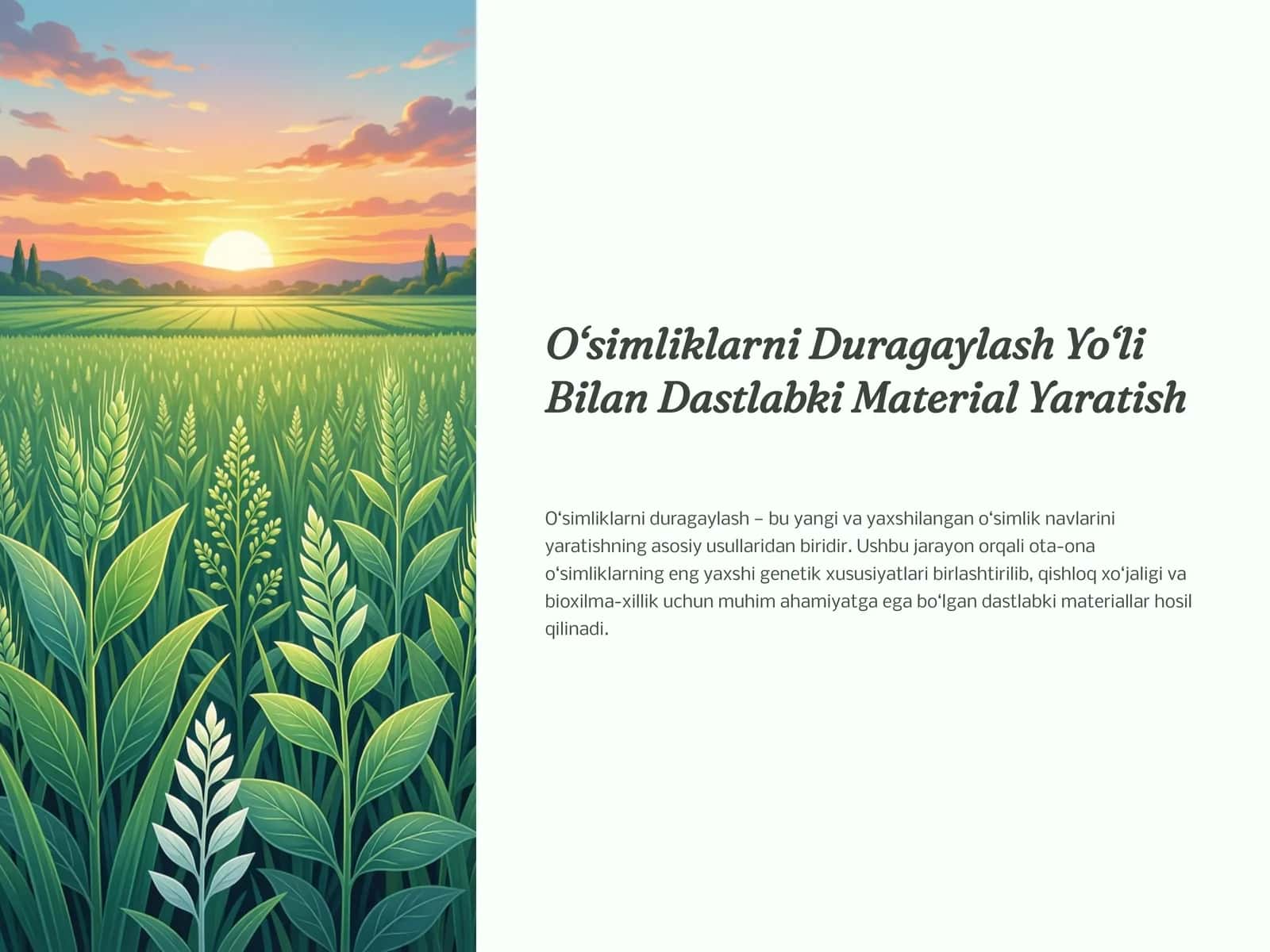 O‘simliklarni Duragaylash Yo‘li Bilan Dastlabki Material Yaratish