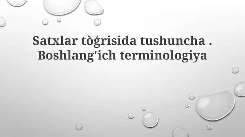 Boshlangʻich terminologiya