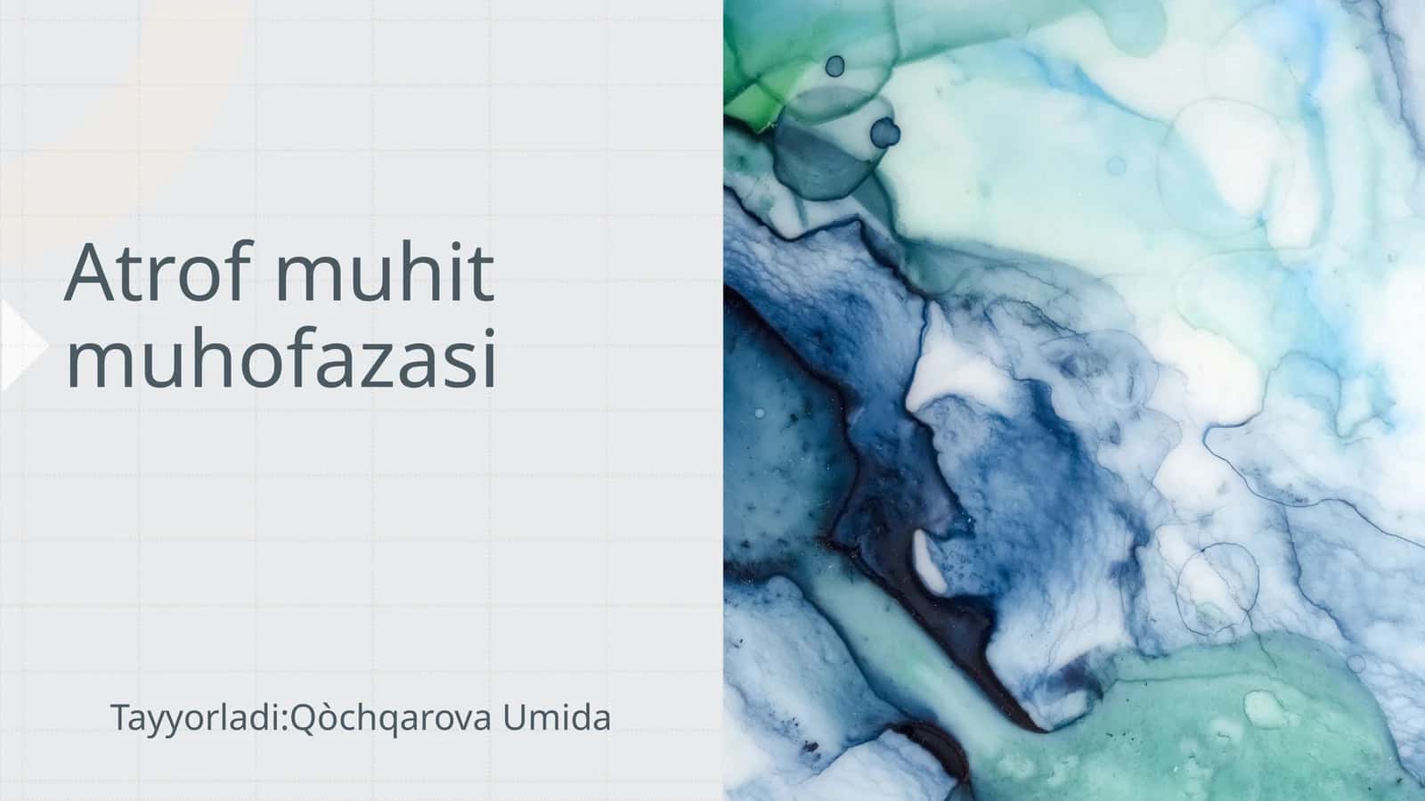 Atrofmuhitmuhofazasi