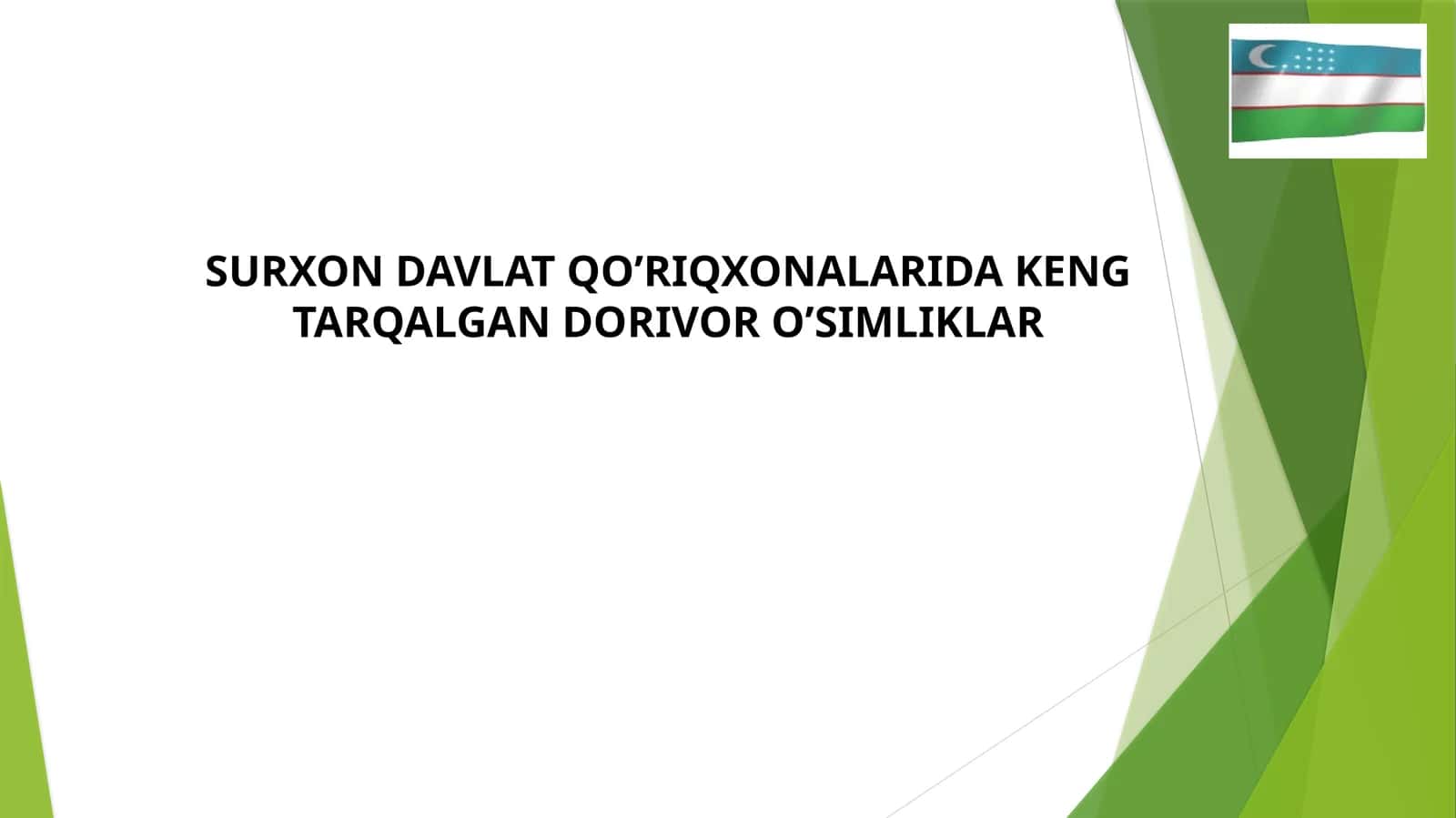 SURXON DAVLAT QO’RIQXONALARIDA KENG TARQALGAN DORIVOR O’SIMLIKLAR