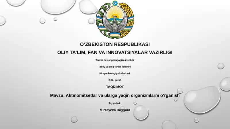 Aktinomitsetlar va ularga yaqin organizmlarni oʻrganish