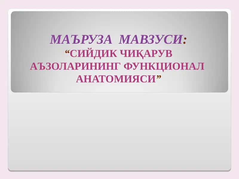 Сийдик Чиқарув Аъзоларининг Функционал Анатомияси