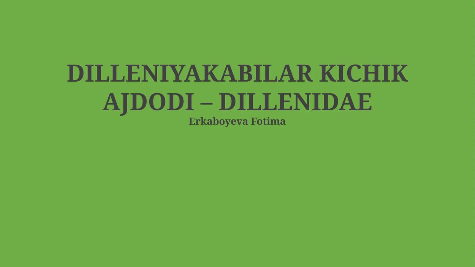 Dilleniyakabilar kichik ajdodining ta'rifi