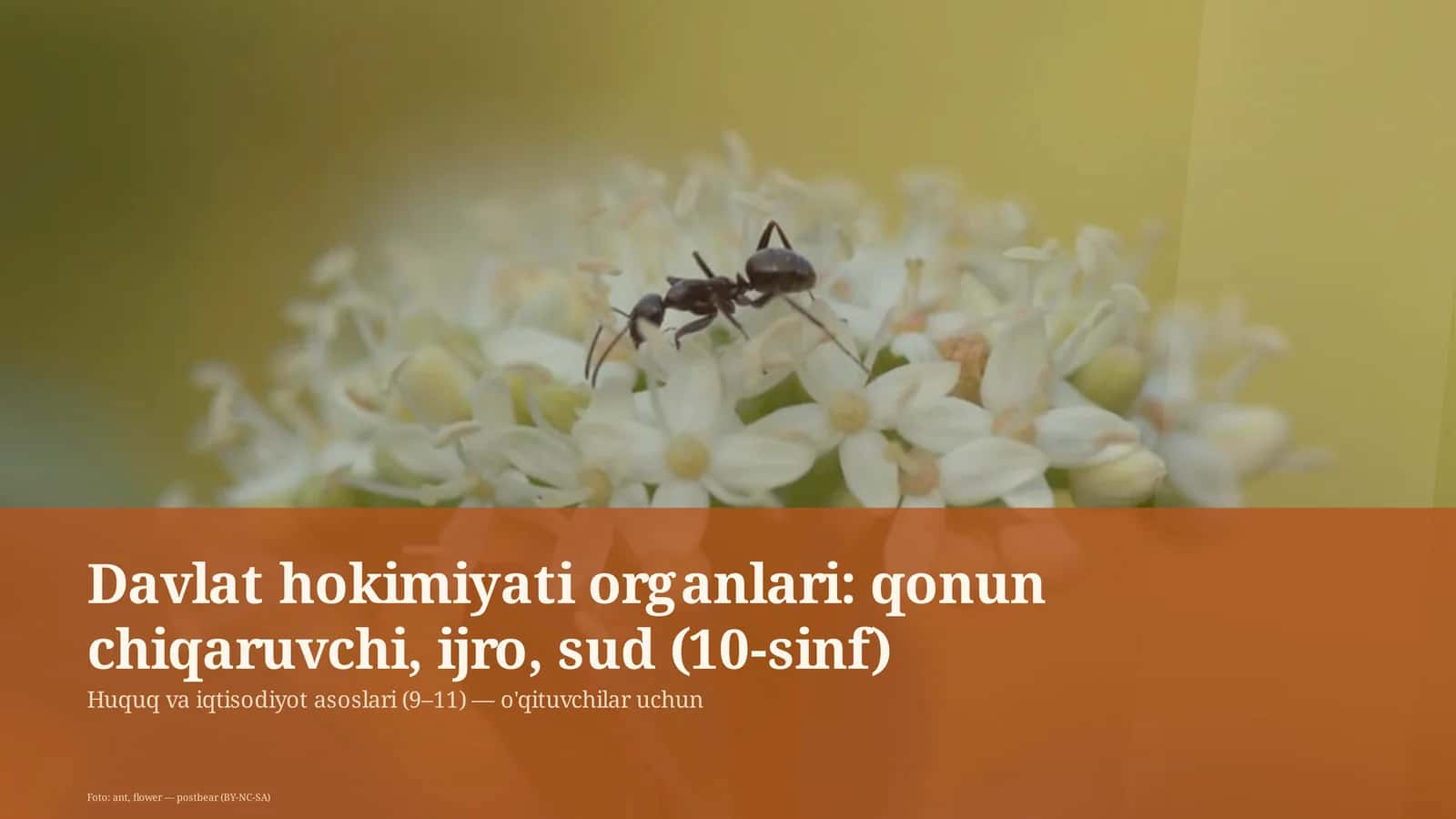 Huquq va iqtisodiyot asoslari (9–11) — o'qituvchilar uchun