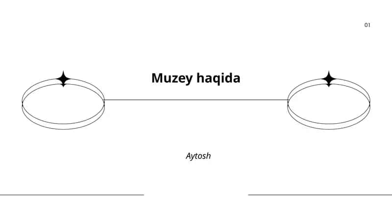 Muzeyning tarixi va tashkil etilishi