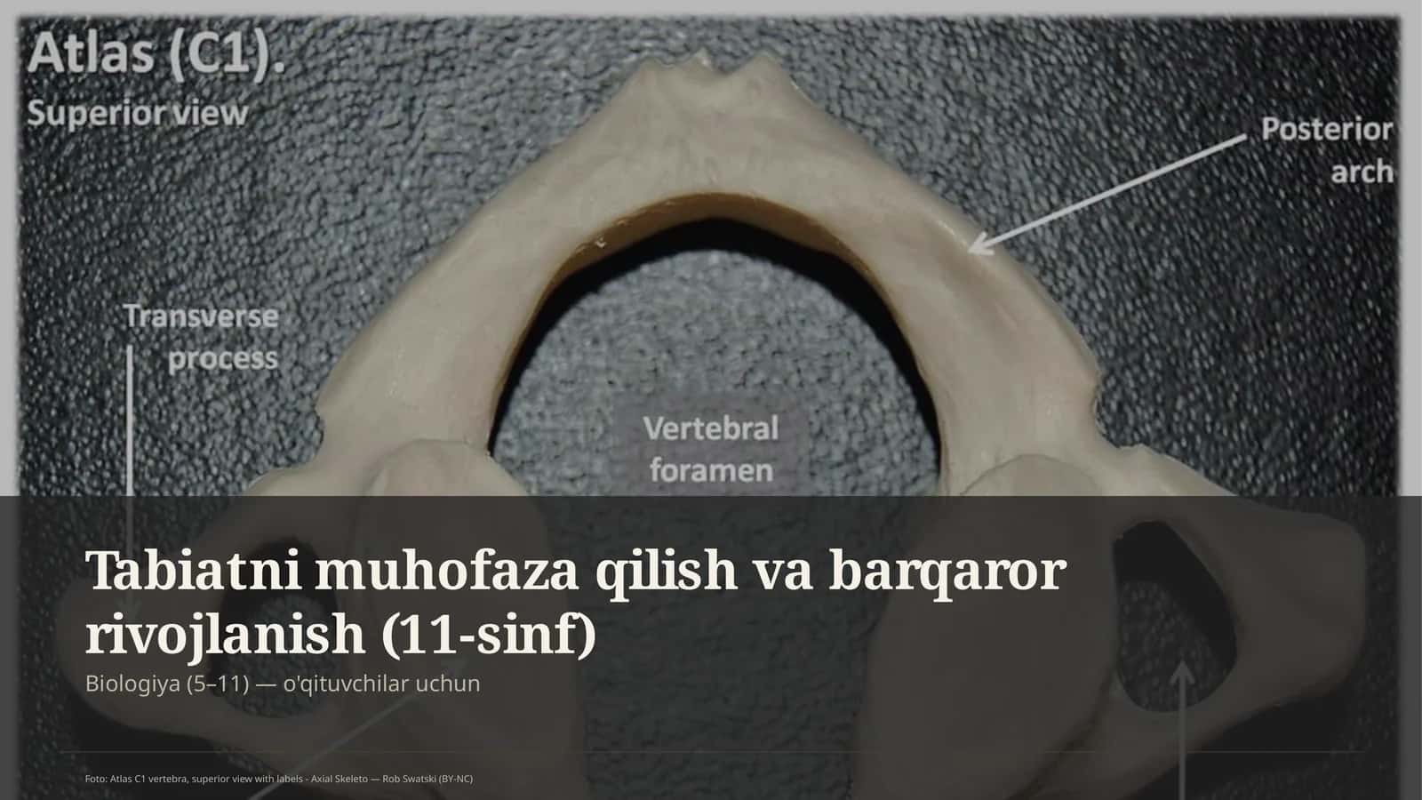 Tabiatni muhofaza qilish va barqaror rivojlanish (11-sinf)