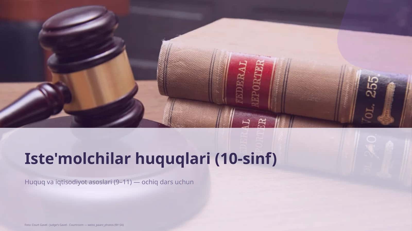 Iste'molchilar huquqlari (10-sinf)