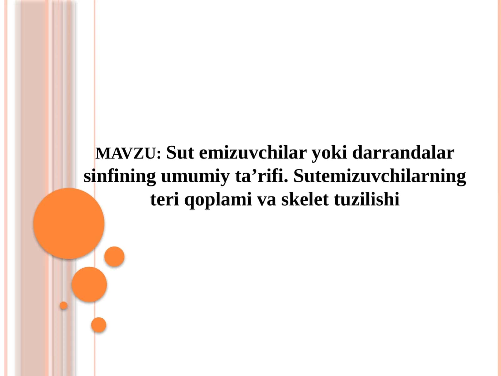 Sutemizuvchilar sinfi 90 sahifalik taqdimot