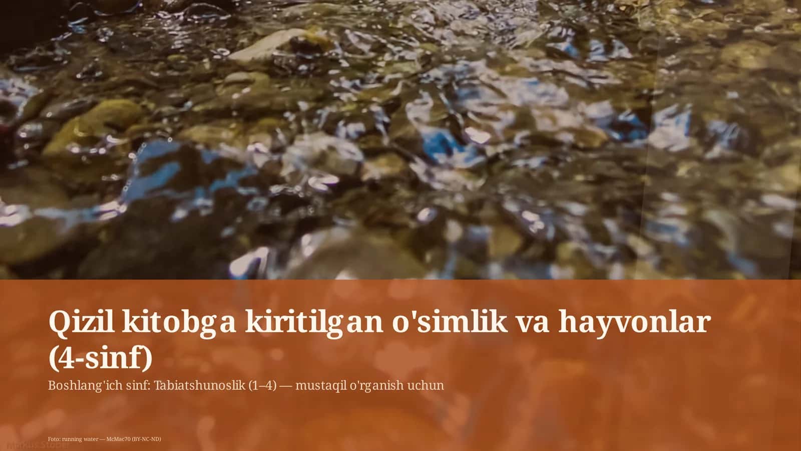 O'simlik va hayvonlar (4-sinf)