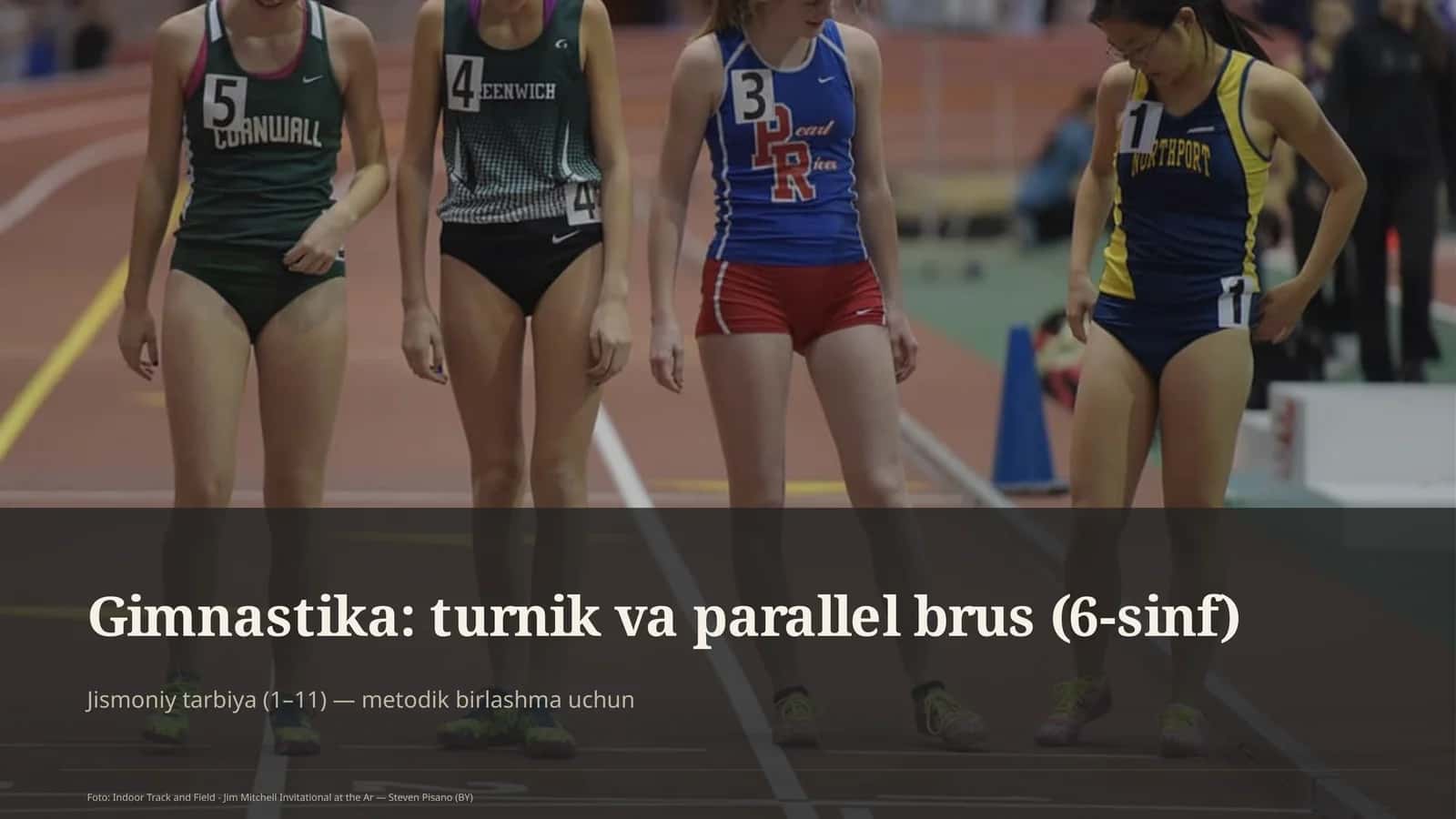 Gimnastika: turnik va parallel brus (6-sinf)