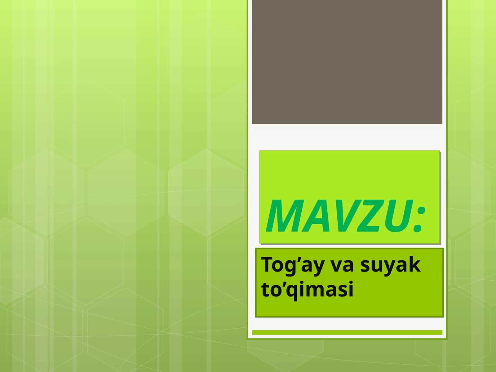 Tog’ay va suyak to’qimasi