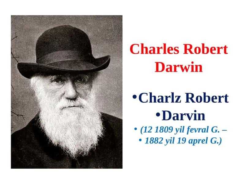 Charlz Darvin