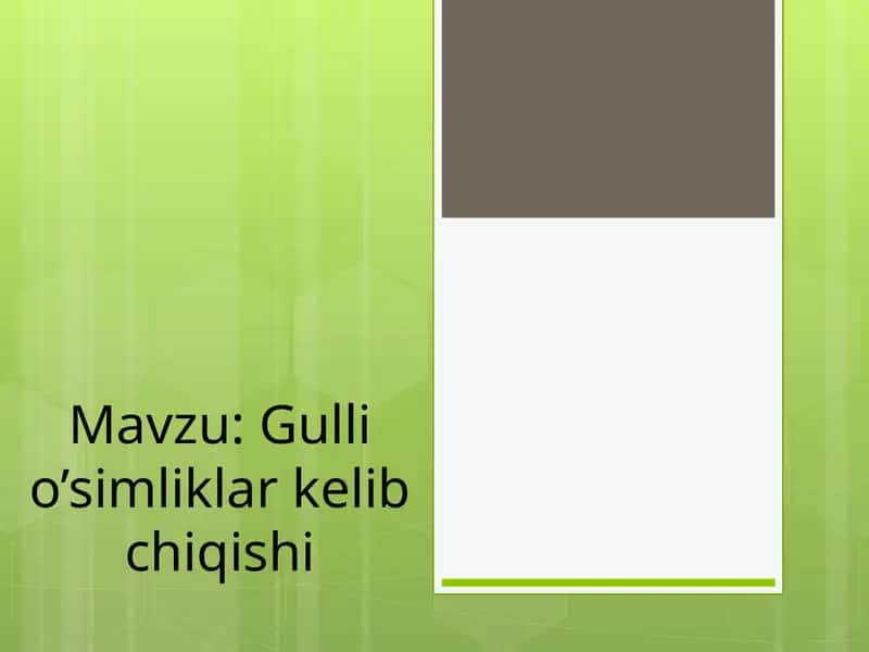 Gulli o’simliklar kelib chiqishi